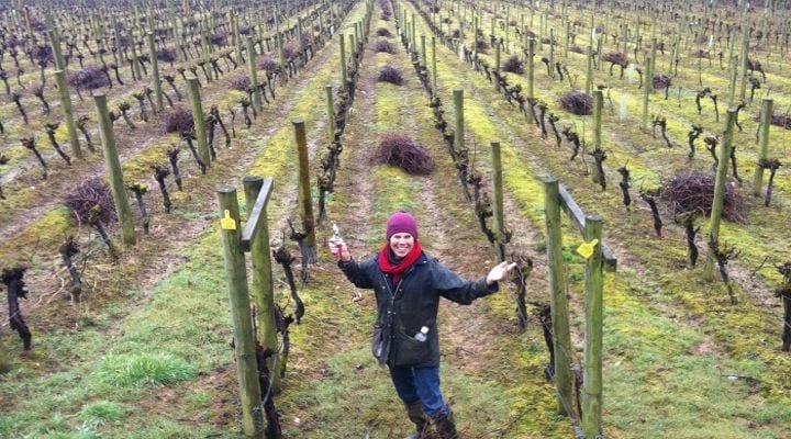 What's Special about Annie Lindo's Vineyard at Camel Valley
