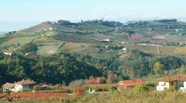 Azienda Giribaldi Mario