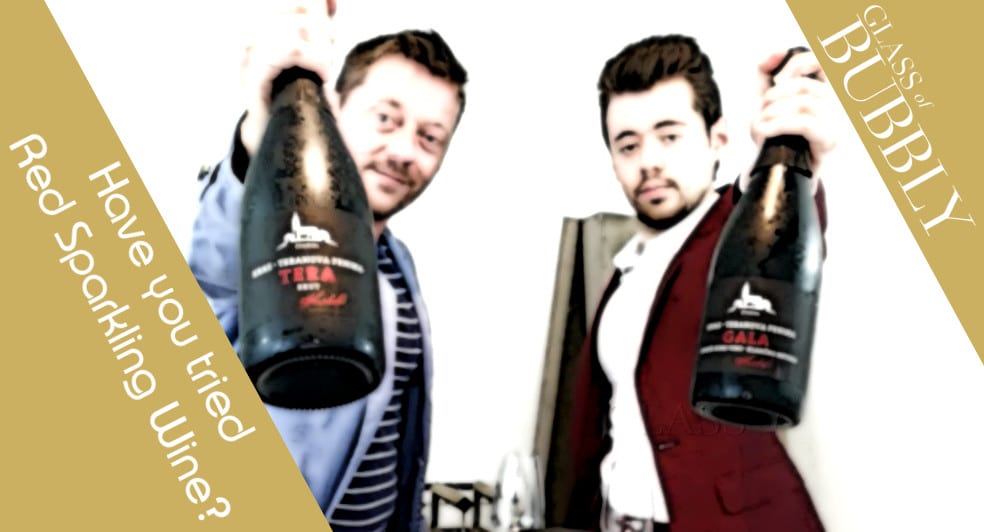 Have you tried Red Sparkling Wine Vina Kobal