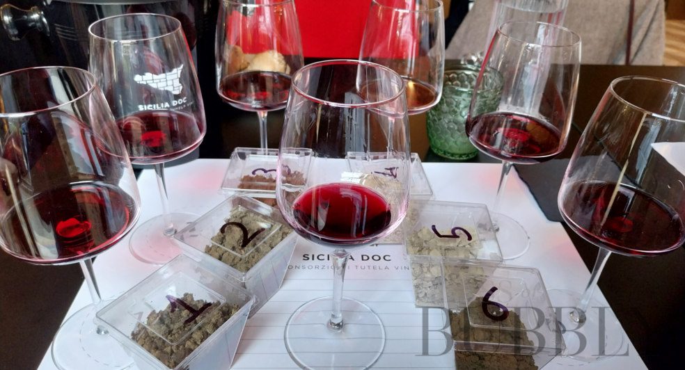 Soil Types influencing red wine Aromas and Flavours