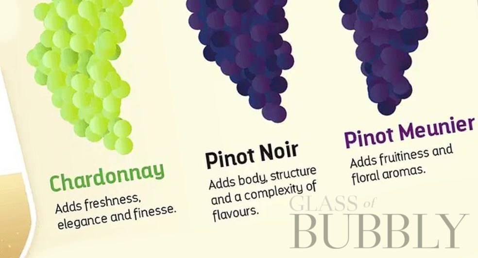 What does classic Champagne blend mean
