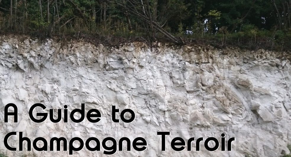 A Guide to Champagne Terroir