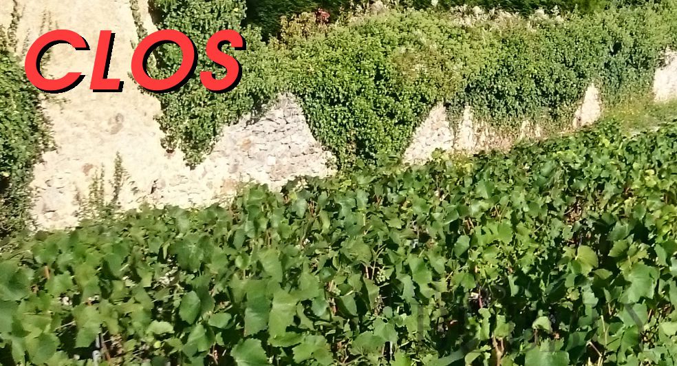 Clos Champagne
